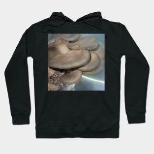 Oyster Mushroom Cluster #2 Hoodie